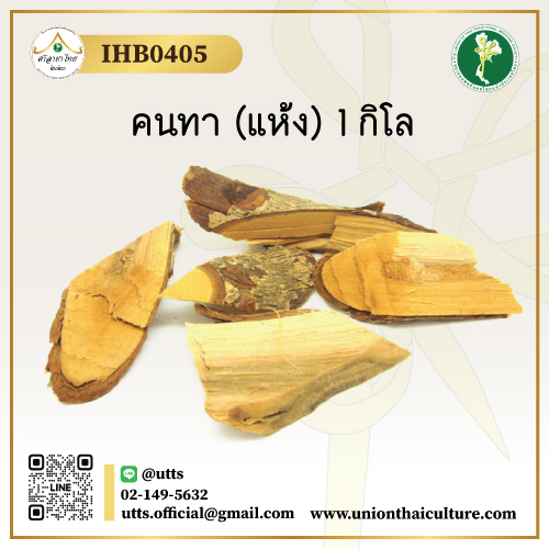 IHB0405 คนทา (แห้ง) 1 กิโล